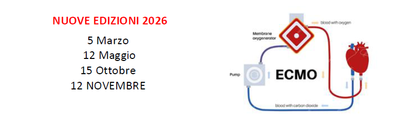 
		
			/image/journal/article?img_id=6283143&t=1770912117224
		
		
	