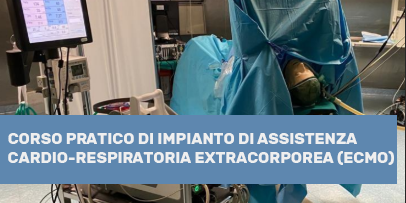 
		
			/image/journal/article?img_id=6283239&t=1770913264666
		
		
	